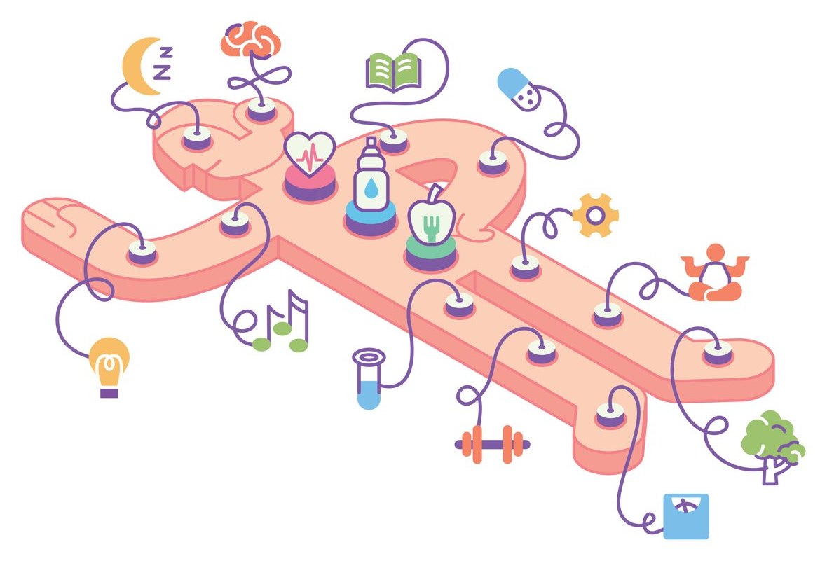 Illustration of the many factors that shape health