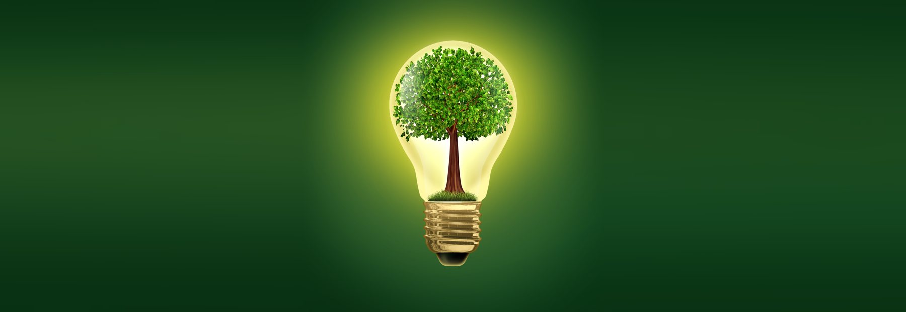 A tree growing inside a glowing light bulb